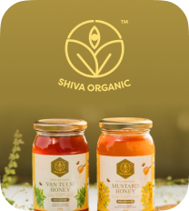 Shiva Organic